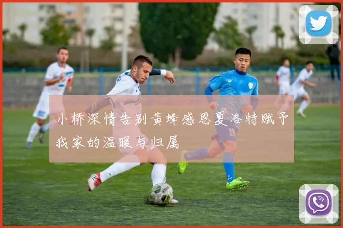 小桥深情告别黄蜂感恩夏洛特赋予我家的温暖与归属