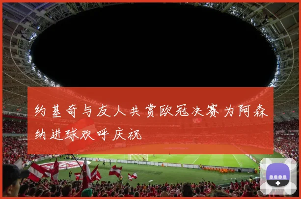 约基奇与友人共赏欧冠决赛为阿森纳进球欢呼庆祝