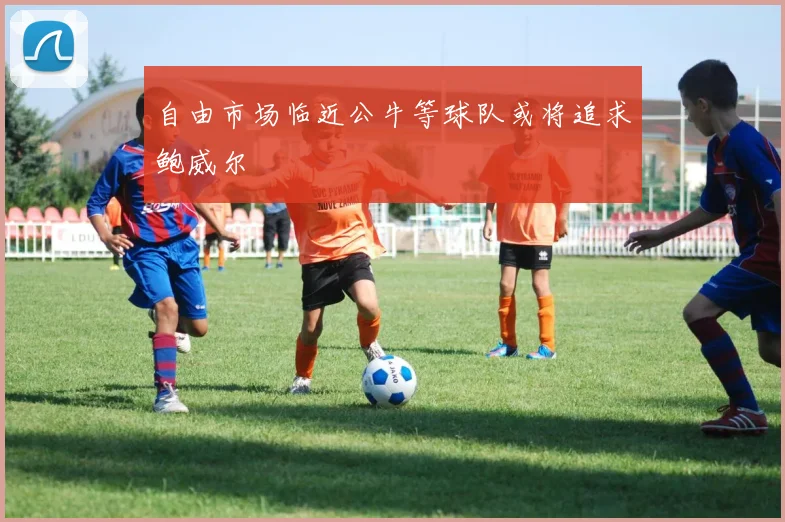 自由市场临近公牛等球队或将追求鲍威尔